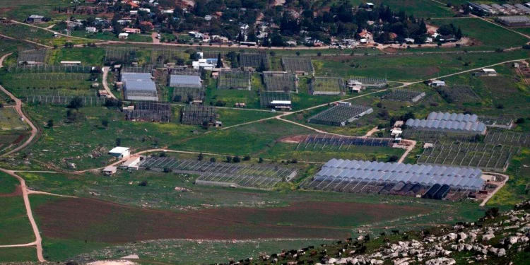 Darurat! Israel Akan Sita Ribuan Lahan Pertanian Palestina di Lokasi-lokasi Berikut Hanya untuk Membangun Jalan Bagi Pemukim