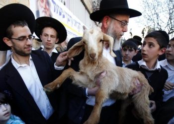 Israel Beri Uang Tunai Bagi Pemukim yang Sembelih Kurban di Masjid Al-Aqsa, Jumlahnya Bikin Tercengang