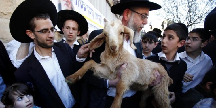 Israel Beri Uang Tunai Bagi Pemukim yang Sembelih Kurban di Masjid Al-Aqsa, Jumlahnya Bikin Tercengang