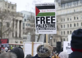 Kecam Penggusuran dan Pengusiran Paksa Penduduk Palestina, Tokoh-Tokoh PBB Berikut Buka Suara