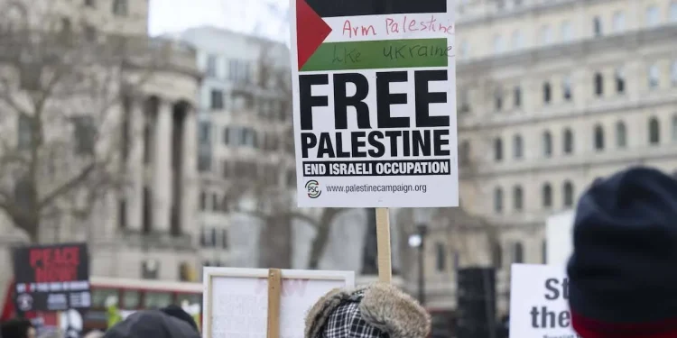 Kecam Penggusuran dan Pengusiran Paksa Penduduk Palestina, Tokoh-Tokoh PBB Berikut Buka Suara