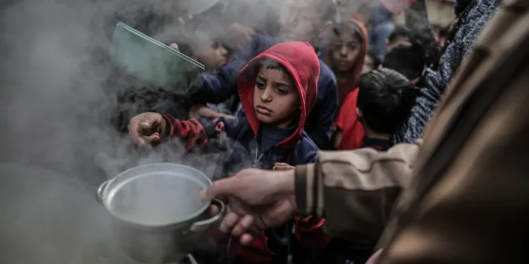 PBB Ungkap Daftar Kejahatan Israel untuk Memaksa Penduduk Palestina Membeli Makanan dari Mereka 