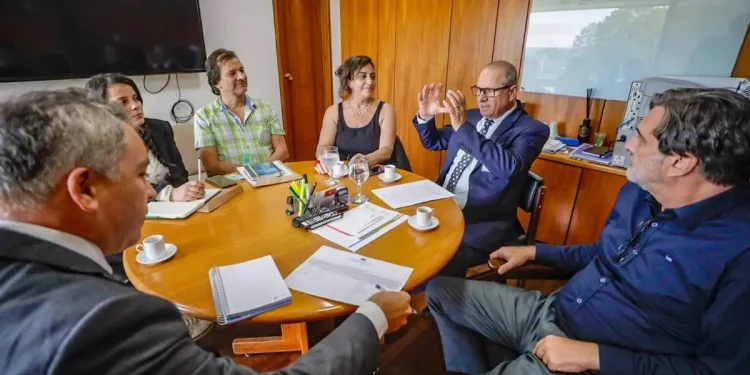 Serangan Pemukim dan Tentara Semakin Meningkat, Lembaga Palestina Minta Pihak Ini untuk Kecam Apartheid Israel