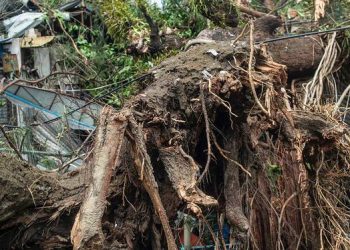 Lebih dari Seratus Orang Rohingya Tewas di Myanmar dan Bangladesh akibat Topan Mocha