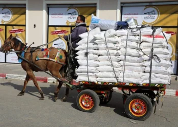 Kekuarangan Dana, WFP Tangguhkan Bantuan untuk 200 Ribu Warga Palestina