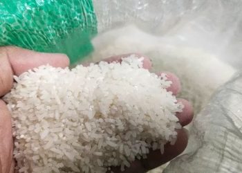 Kelaparan Dunia Meroket! Bukan Karena Pemanasan Global, Faktor Utama ini Meningkatkan Kerawanan Pangan Akut