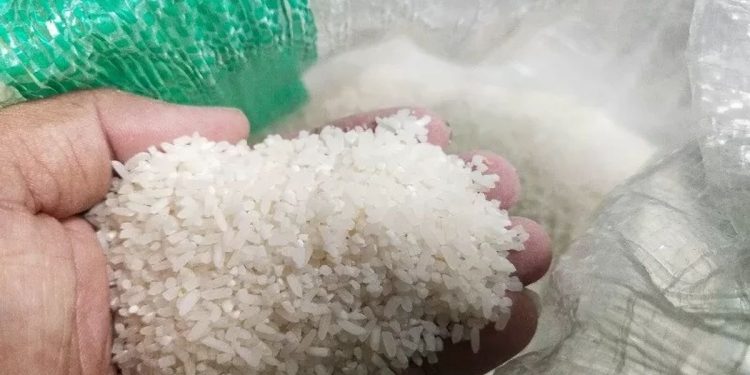 Kelaparan Dunia Meroket! Bukan Karena Pemanasan Global, Faktor Utama ini Meningkatkan Kerawanan Pangan Akut