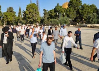 Rayakan Hari Turunnya Kitab Taurat, Ratusan Pemukim Israel Serbu Masjid Al-Aqsa