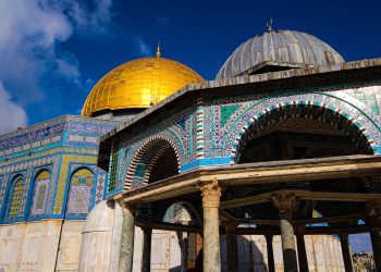 Adara Humanitarian Report