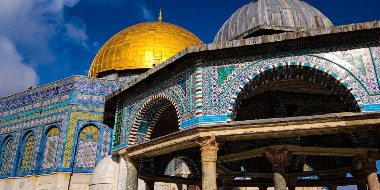 Adara Humanitarian Report