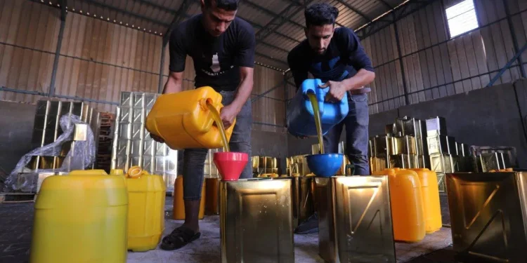 Israel Berhentikan Paksa Pabrik Minyak Zaitun di Masafer Yatta, Tahan Aktivis yang Dokumentasikan Kejahatan Mereka