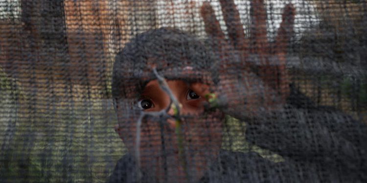 Jadi Saksi Kejamnya Blokade dan Agresi Israel, Anak-Anak Gaza Menderita Darurat Kesehatan Mental