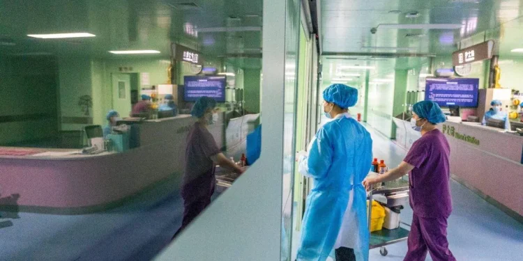 Kesal Benderanya Tidak Dikibarkan, Israel Batal Datang ke Konferensi Bidan Internasional di Bali