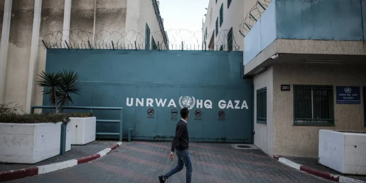 Pasca-Vakum Empat Bulan, UNRWA Buka Kembali Layanan Pendidikan dan Kesehatan untuk Pengungsi