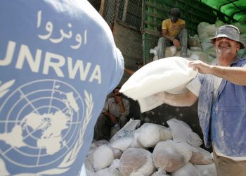 UNRWA Mogok Kerja selama Empat Bulan, Pengungsi Palestina di Lebanon Alami Krisis Lingkungan dan Kesehatan