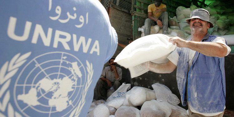 UNRWA Mogok Kerja selama Empat Bulan, Pengungsi Palestina di Lebanon Alami Krisis Lingkungan dan Kesehatan
