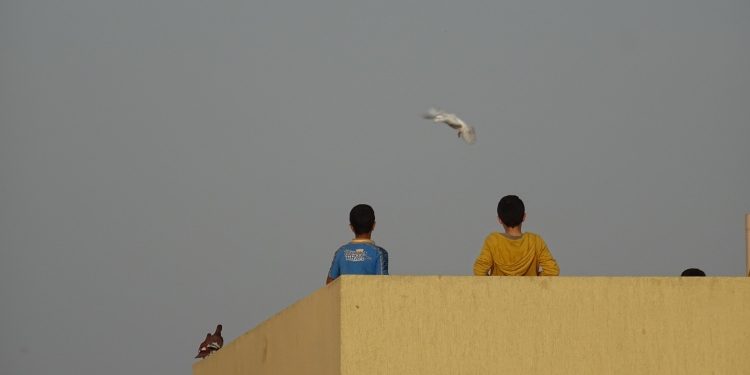 Kisah dari Beddawi dan Ain Al-Hilweh: Penjara Sempit dan Pahitnya Mata Air yang Dirasakan Pengungsi Palestina di Lebanon