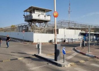 Penjara Israel Berubah Jadi “Oven” selama Musim Panas, Bagaimana Kondisi Tawanan Palestina?