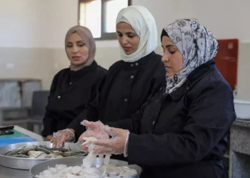 Perempuan Palestina, Penyelamat Industri Perikanan di Gaza