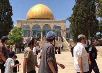 132 Pemukim Israel Serbu Masjid Al-Aqsa