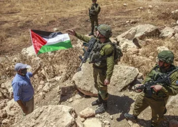 Australia Ubah Sikap! Sebut Permukiman Israel Ilegal dan Kembali Gunakan Istilah "Palestina yang Dijajah"