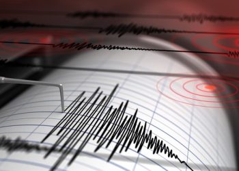 Gempa Mengguncang Lombok! BMKG Analisis Potensi Tsunami