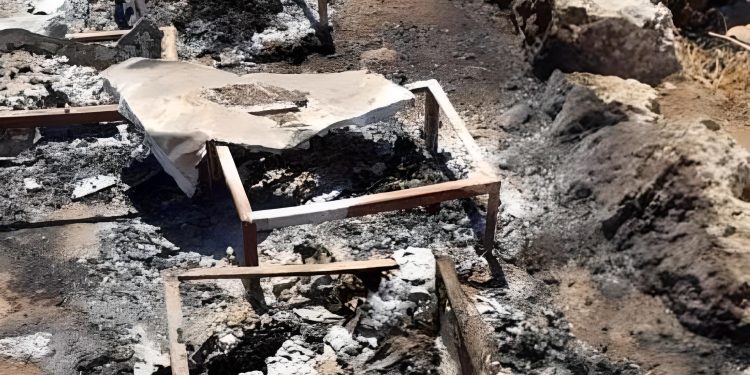 Israel Bakar 20 Sarang Lebah Milik Petani Palestina, Hancurkan Musim Panen Madu Tahun Ini