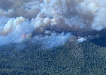 Puluhan Ribu Penduduk British Columbia Terpaksa Mengungsi Akibat Kebakaran Hutan 