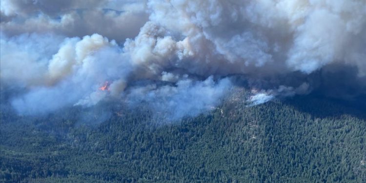 Puluhan Ribu Penduduk British Columbia Terpaksa Mengungsi Akibat Kebakaran Hutan