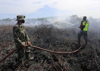 Kebakaran Hutan dan Lahan pada 2023 Terparah sejak 2020