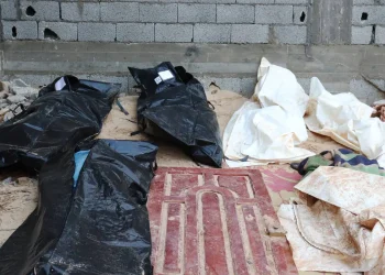 Miris! Keluarga Palestina yang Mengungsi Akibat Perang Terancam Kematian di Libya