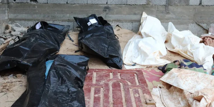 Miris! Keluarga Palestina yang Mengungsi Akibat Perang Terancam Kematian di Libya