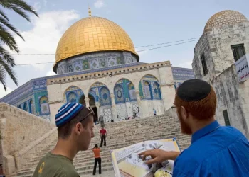 Darurat! Nyaris 50 Organisasi Permukiman Israel Berusaha Lakukan Yahudinisasi Masjid Al-Aqsa 