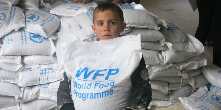 Palestina Terancam Kerawanan Pangan, Norwegia Sumbang Hampir $3 Juta untuk Bantuan Pangan Palestina