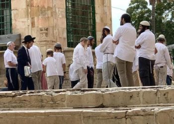 Rayakan Hari Libur Ibrani, 595 Pemukim Israel Menyerbu Masjid Al-Aqsa 