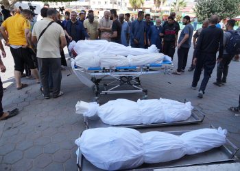 Koridor-koridor tersebut mungkin remang-remang, namun kehancuran yang melanda rumah sakit Dar al-Shifa di Gaza dapat dilihat dengan jelas oleh para korban luka yang baru tiba. Erangan dan jeritan kesakitan terdengar dari berbagai sisi ruang gawat darurat, ketika para dokter mencoba menavigasi lautan warga Palestina yang terluka dan