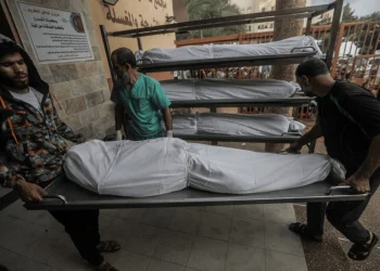 Anadolu Menangkap Gambar Jenazah-Jenazah di Depan Rumah Sakit Al-Shifa 