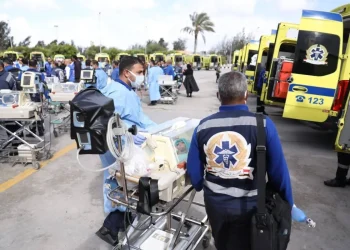 Bayi-Bayi Prematur Gaza Dievakuasi ke Mesir;  12 Meninggal di RS Indonesia