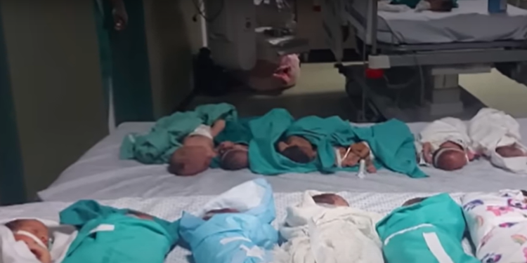 Bayi-bayi Prematur Satu Per Satu Meninggal di Rumah Sakit al-Shifa