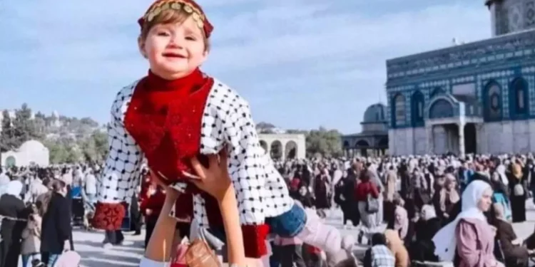 Beirut, Bayi yang Lahir saat Ledakan Bom di Lebanon, Terbunuh dalam Agresi Gaza