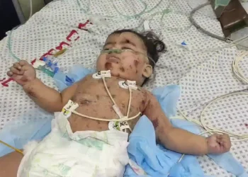 Israel Mengebom ICU untuk Bayi Baru Lahir di RS Kamal Adwan, Satu Bayi Terbunuh