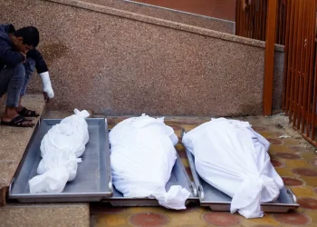 Kesepakatan Gencatan Senjata Gaza Semakin 'Dekat', Namun Israel Masih Menyerang dan Menewaskan jurnalis Lebanon