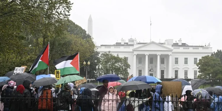 Khawatir dengan Kondisi di Gaza, AS Tunda Kegiatan Pameran Seni Islam