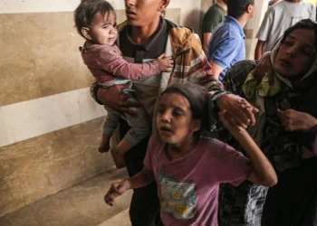 Pada Hari Anak Sedunia, UNICEF Melaporkan Anak-Anak Gaza Terguncang Akibat Agresi yang Masih Berlangsung