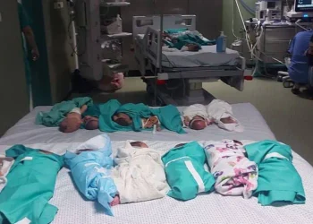 Pejabat Gaza Menyangkal Kontak dengan Israel untuk Evakuasi Bayi dari Al-Shifa