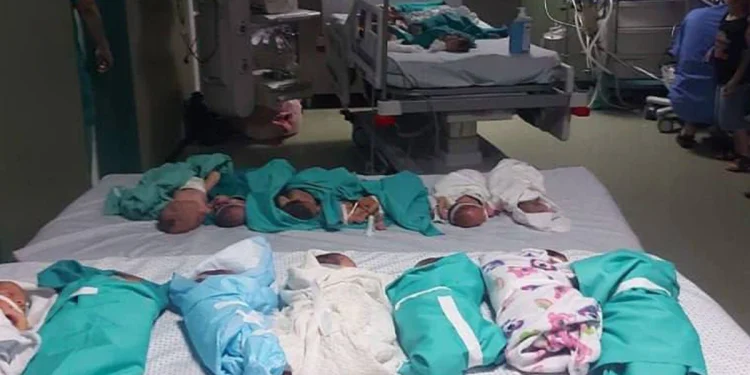 Pejabat Gaza Menyangkal Kontak dengan Israel untuk Evakuasi Bayi dari Al-Shifa