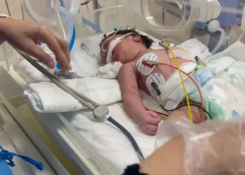 Rumah Sakit al-Aqsa di Gaza: "Bayi-bayi akan segera masuk ke kuburan massal"