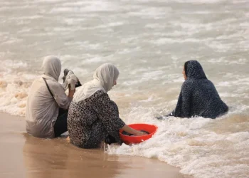 Tidak Ada Privasi, Tidak Ada Air: Perempuan Gaza Konsumsi Pil Penunda Haid di Tengah Agresi