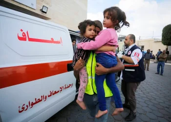 Tiga kucing membawa kegembiraan bagi anak-anak Gaza