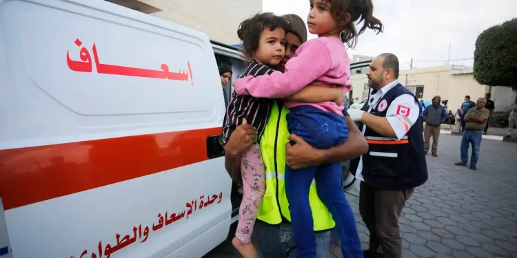 Tiga kucing membawa kegembiraan bagi anak-anak Gaza